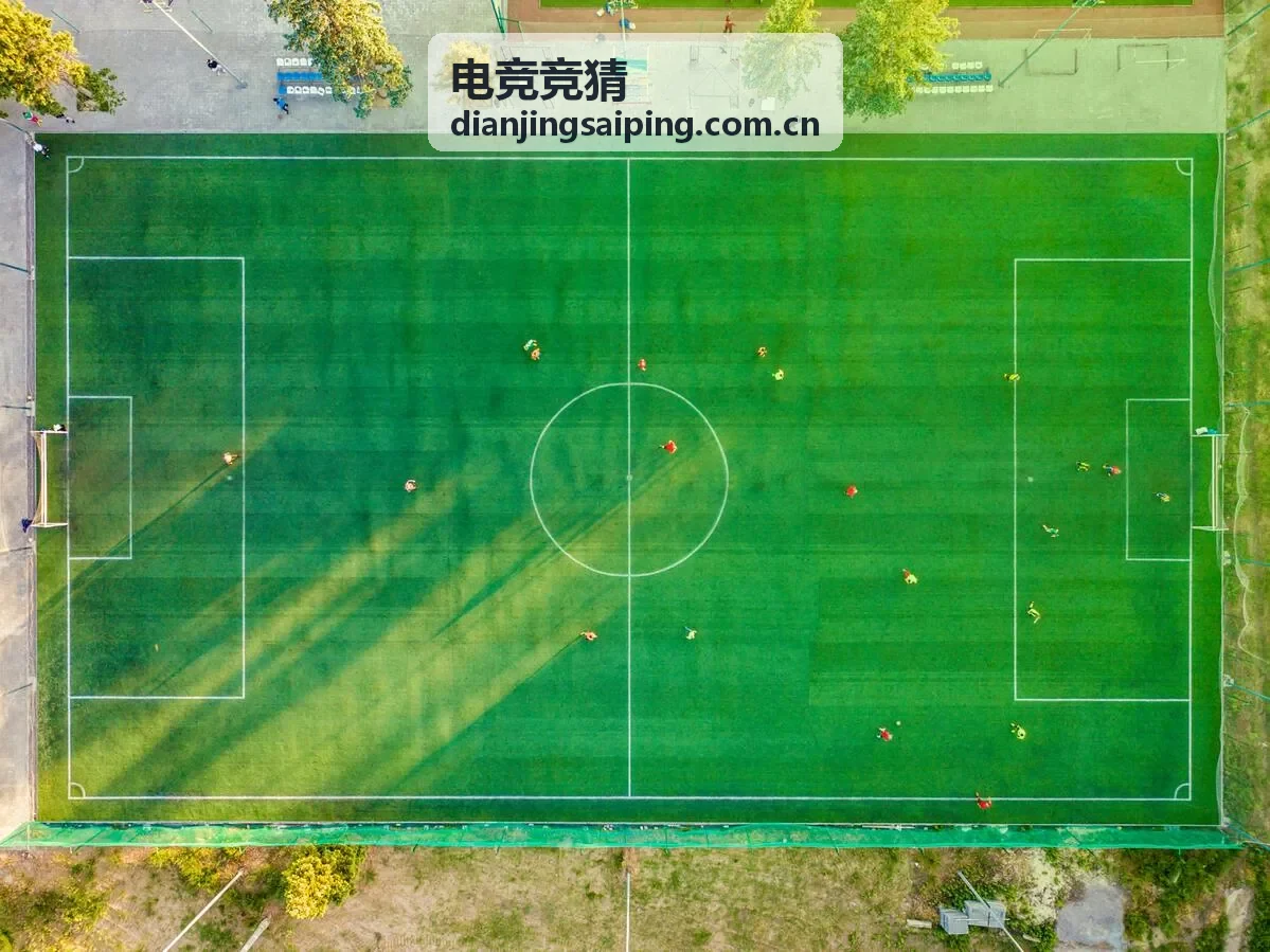 电竞竞猜资讯：KPL版本更新影响分析